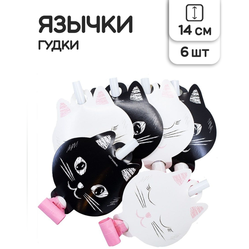 ������ ������ ������-����� ��������� Riota ������, ����� 6 �� ����