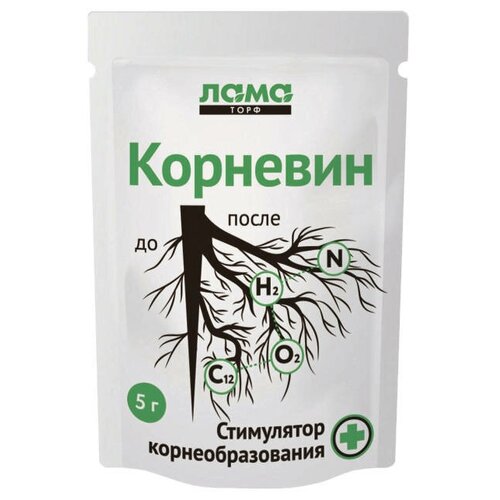 ������ ������ ���������� ����� ������ �������� ���� ���� 5� ����