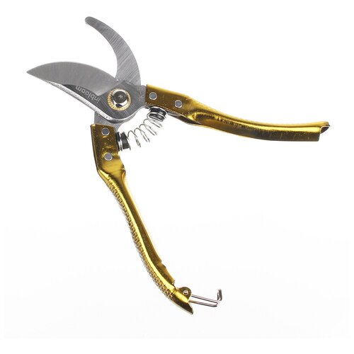 ������ ������ INBLOOM ������� �������, 21��, � �������������� ��������, ����� 65� ����