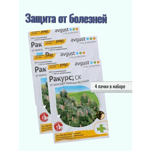 ������ ������ �������� �� �������� ������ ����