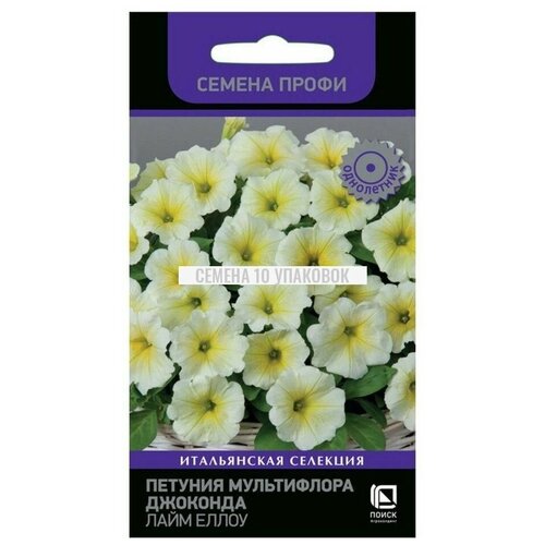 ������ ������ ������ ������� ����������� �������� ���� ����� 10 �� ����