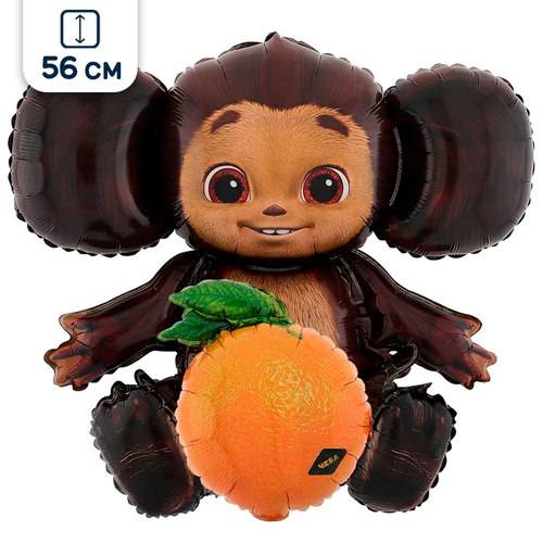 ������ ������ ��������� ��� ��������� � ����������, 56�44 �� ����