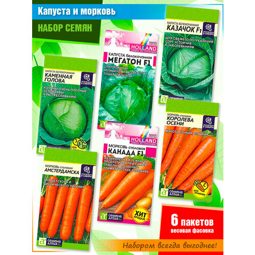 ������ ������ ����� ����� ������� � ������� �� ������ ����� (6 �����) ����