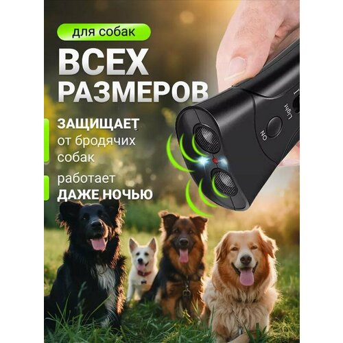 ������ ������ ������������ ����� ��������������. ����