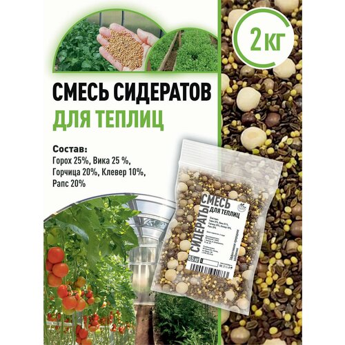 ������ ������ ����� ��������� ��� ������ 2 �� ����