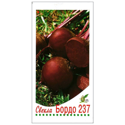 ������ ������ ������ ������ �������� ����� 237 145�� ��� ����, ����, �������, ������� / ������� � �������� �������� ����