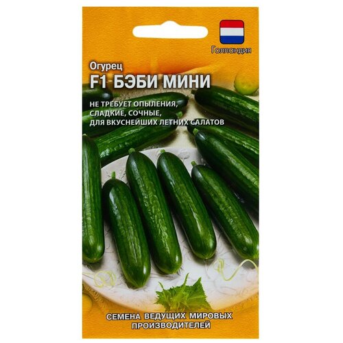 ������ ������ ������ ������ ������ ���� ���� F1 5 �� ����