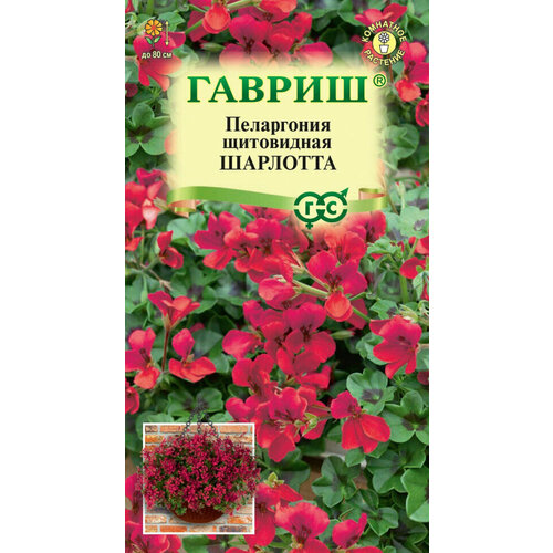 ������ ������ ������, ���������� ��������, ��������� 3 ������ ����