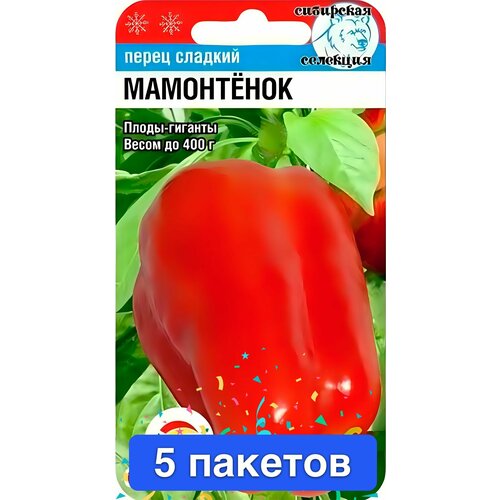 ������ ������ ������ ������ ��������� ��� 