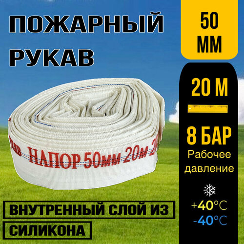 ������ ������ �������� ����� ����� 50�� 20� ����