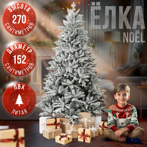 ������ ������ ������������� ���� BINOSHE No�l ����������� 270 �� ����