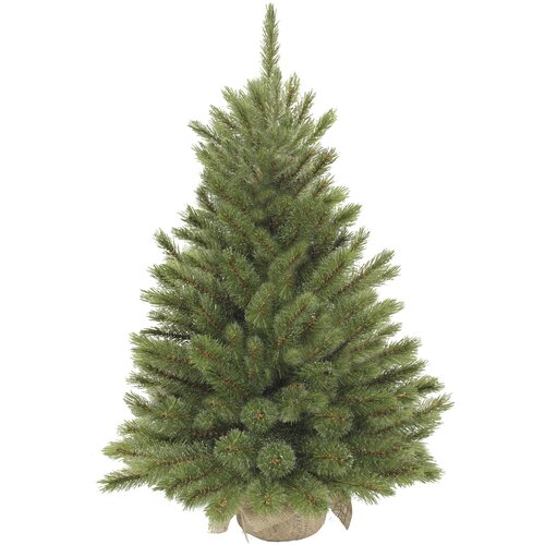 ������ ������ ��� ������������� Triumph Tree ������ ��������� � �������, 60 �� ����