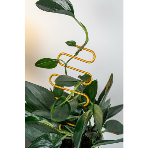 ������ ������ ����� ��� �������� �������� ������ ������� ����