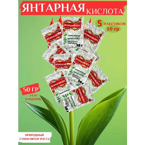 ������ ������ �������� ������� ��� �������� 50 �� (5*10) ����