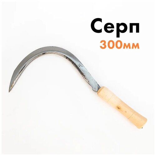 ������ ������ ���� ������� 300�� � ���������� ������ ����