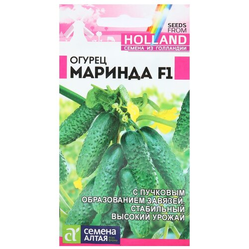 ������ ������ ������ ������ 