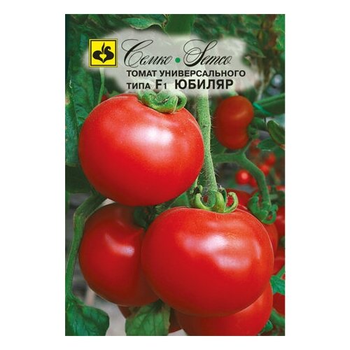 ������ ������ ����� ������ F1 ����