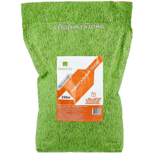 ������ ������ ����� ����� �����City ��������� ������������� �����, 10 ��, 10 �� ����