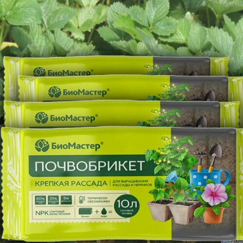 ������ ������ 40� ����������� ������� ������� 10 �. � 4�� ����� ��� ����������� ������� ����