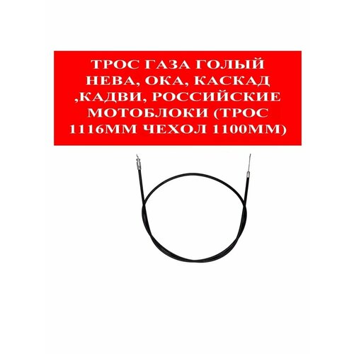 ������ ������ ���� ���� �� ������/���� ����� ����