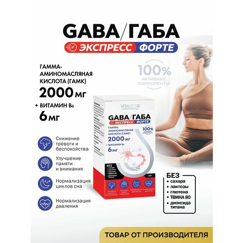 ������ ������ GABA/���� 2000 �� �������� ����� �������, �����-������������� ������� ����