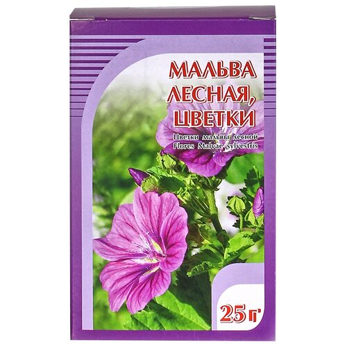 ������ ������ ����� ����� ������ ������, 25 � ����