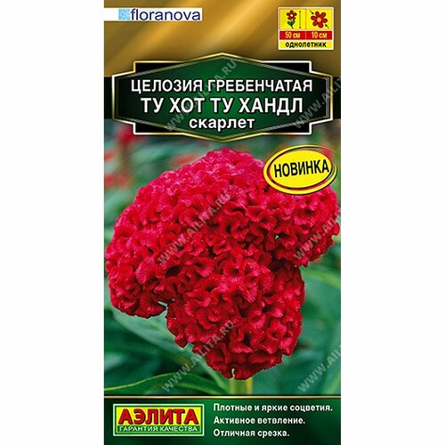 ������ ������ ������ ������� �� ��� �� ����� �������, ����������, (������) 5�� ������� ����� ����