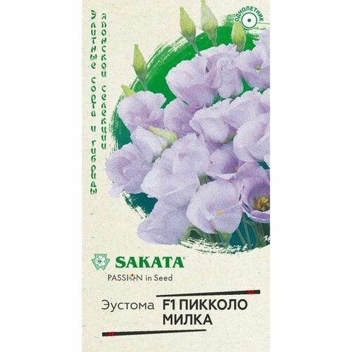 ������ ������ ������ ������� ������� ����� F1, ����������, (������) 5�� ������. ��������, ������ �19 ����