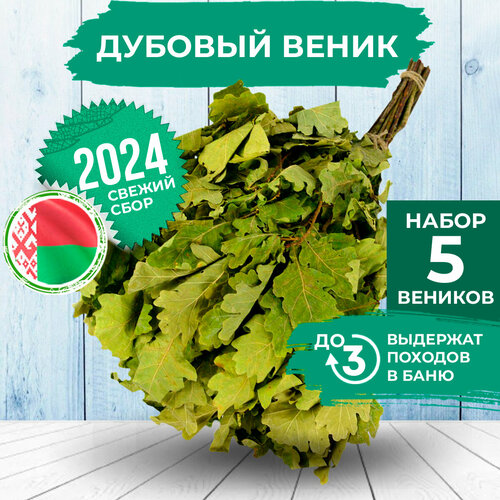 ������ ������ ����� ��� ���� ������� ����� 5 �� ����