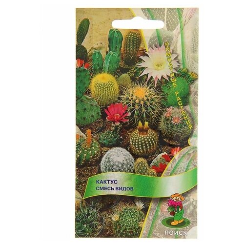 ������ ������ ������ ����� �����, ������ ����� 0,1� ����