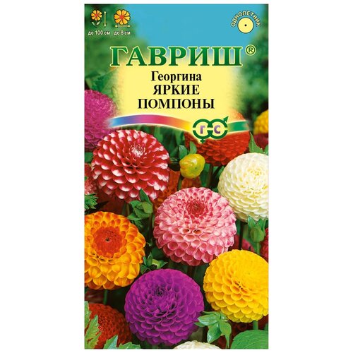 ������ ������ �������� ����� ������� (������, �����) ����