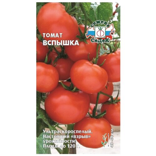 ������ ������ ������ ����� ����� ������� ����