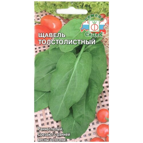 ������ ������ ������ ����� ������ ������������� ����