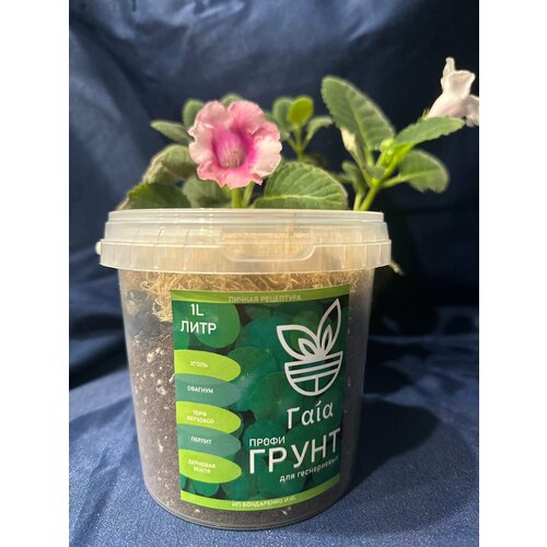 ������ ������ ����� ��� �����������, ����� ��� ������ ����