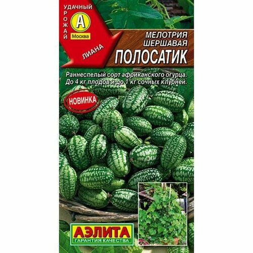 ������ ������ ������ �������� (������� ����) ��������� (������) 10�� 0,03� ����