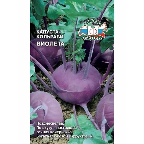 ������ ������ ������� �������� 