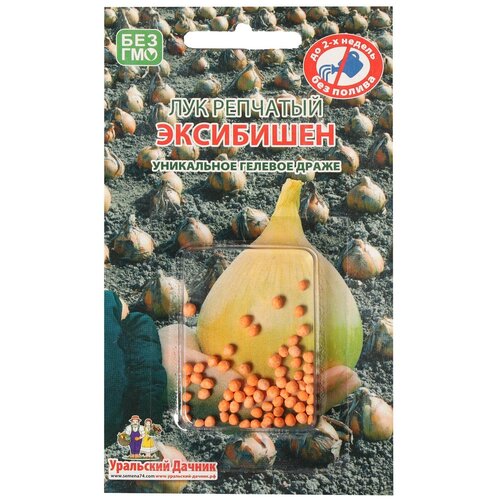 ������ ������ ������ ��������� ������ ��� �������� ����������, 40 �� ����