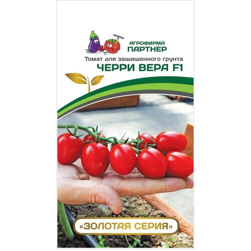 ������ ������ ������ ����� ����� ���� F1 /��������� �������/ 1 ��������, 5 ����� ����