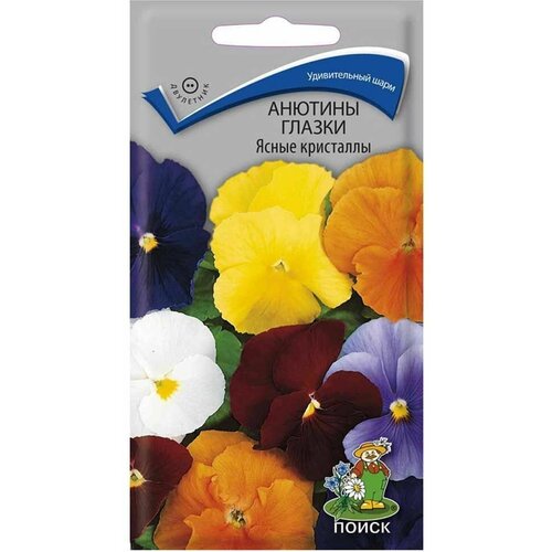 ������ ������ ������� ������ ����� ��������� ����