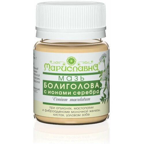 ������ ������ ���� ���������� � ������ ������� ����������, 40 �� ����