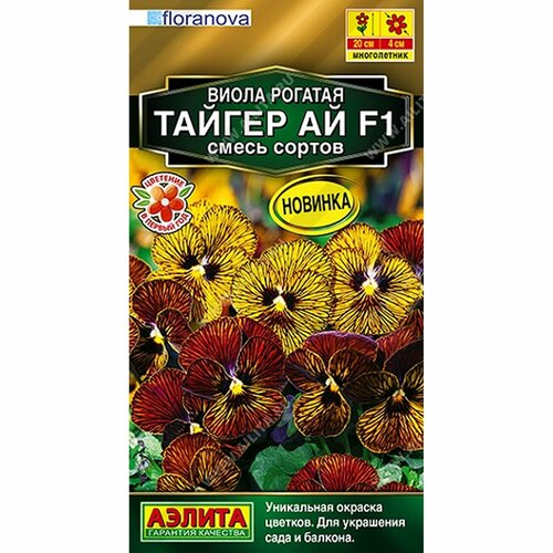 ������ ������ ������ ����� ������ �� F1, ����� ������, �����������, (������) 5�� ������� ����� ����