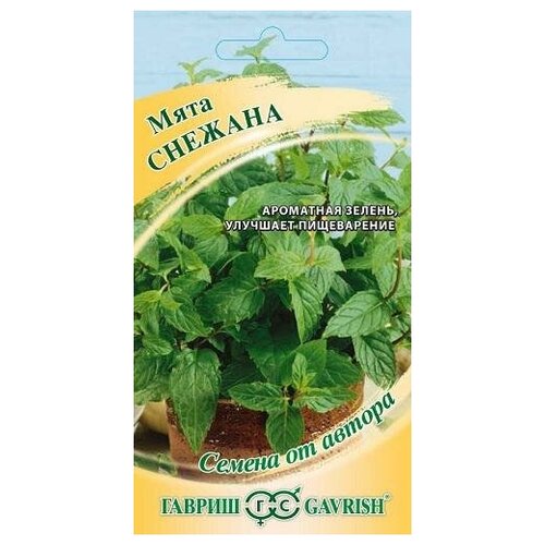 ������ ������ ������. ���� 