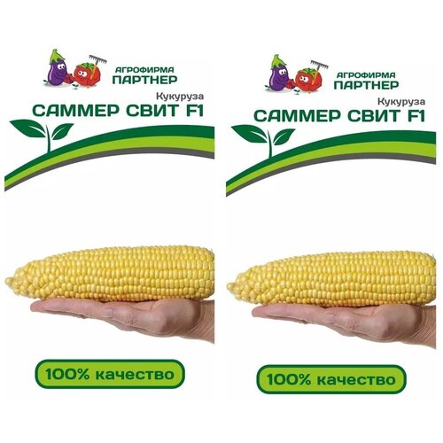 ������ ������ ������ �������� ������ ���� F1 /��������� �������/ 2 �������� �� 3 � ����� ����