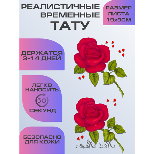 ������ ������ ���� ���������� ��������������, ��������� ���� ����