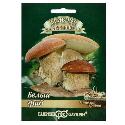 ������ ������ ������� �� �������� 