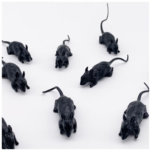 ������ ������ ����� ��������� 