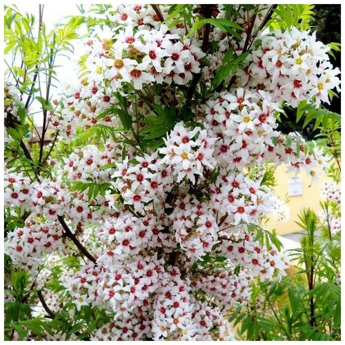 ������ ������ ������ ������ �������� ���� 5 ��. ����