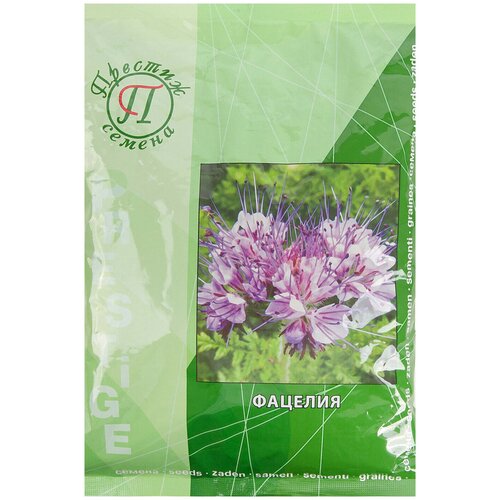 ������ ������ ������� 500 � ����