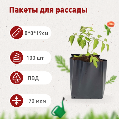 ������ ������ ����� ��� ������� 0,9�, 100 ��. ����