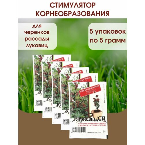 ������ ������ �������� ���������� ����������� � ����� ������, �������� - 5 ��, 5 �������� ����